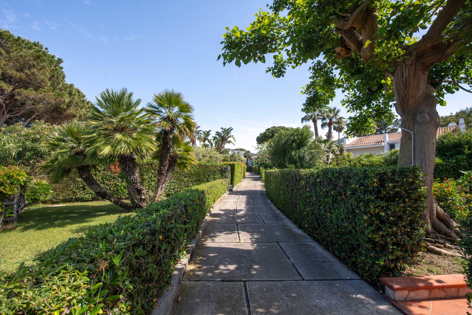 Villa Giulia Vista Mare con Spiaggia Privata - Interni eleganti e servizi di lusso B&B a Mazzaforno - Immagine 6